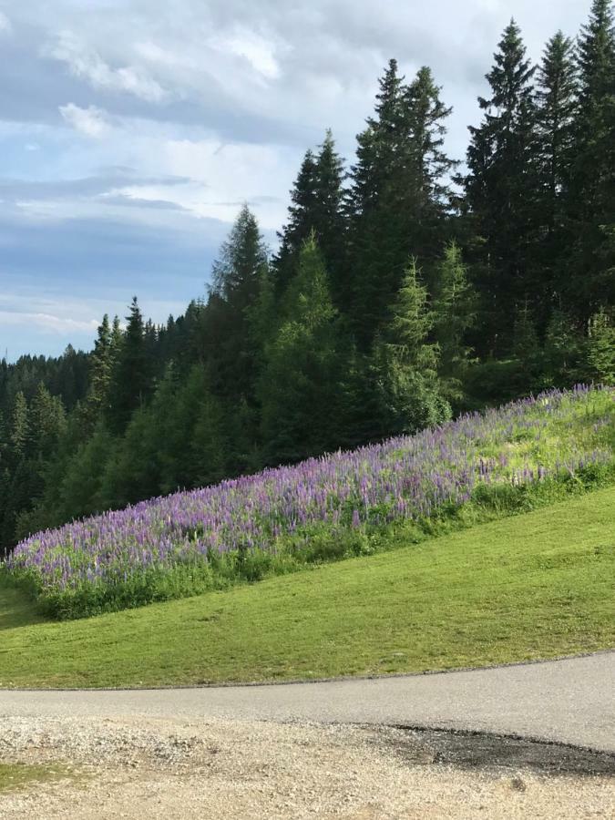 Klippitzhimmel Villa Klippitztorl Exteriör bild